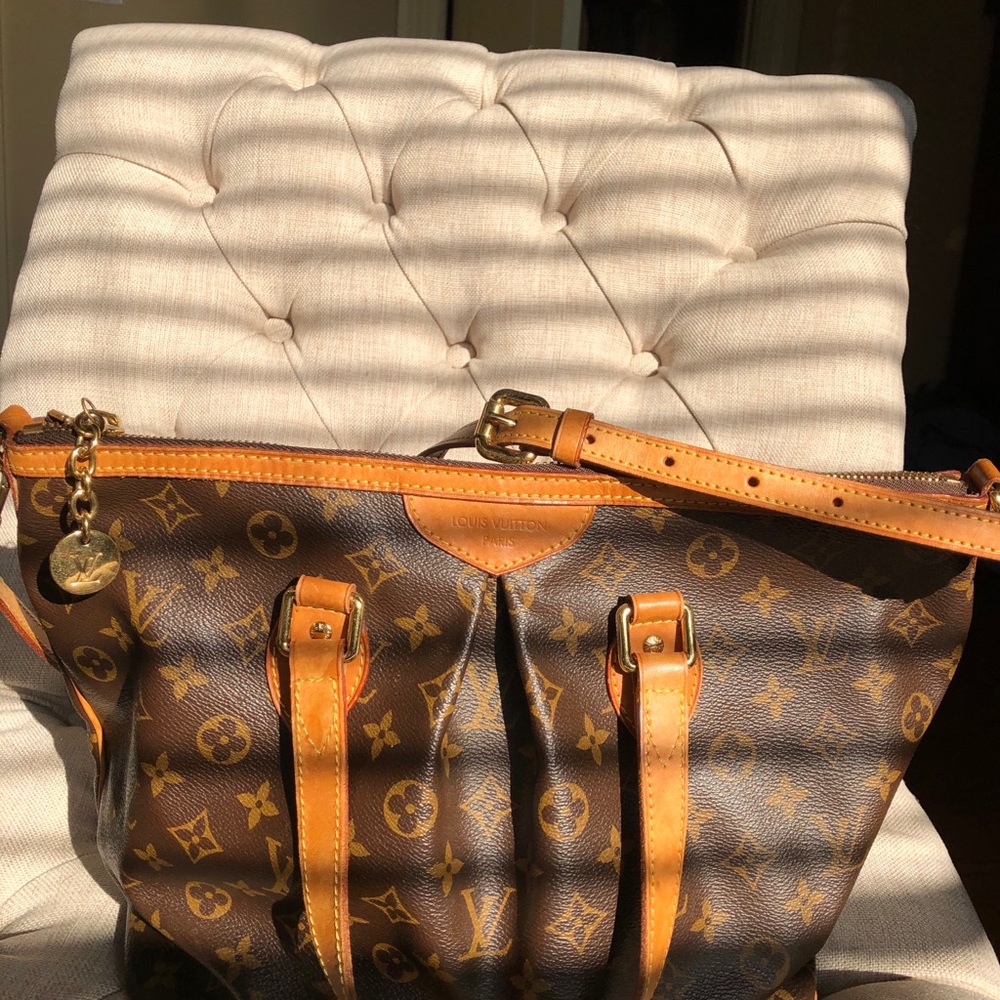Louis Vuitton Brown and Gold Tote Bag - Picture 6 of 14